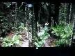 video Im A Celebrity -Giyinmek Yasak Duş Sahnesi