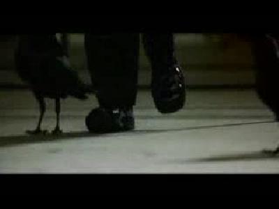 Matrix Reloaded